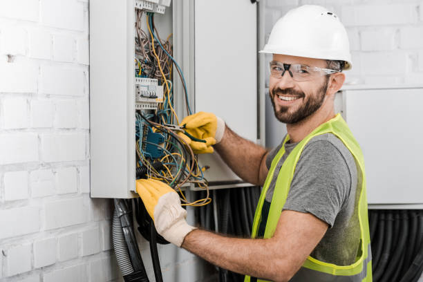 Best Electric Panel Repair  in Presquille, LA