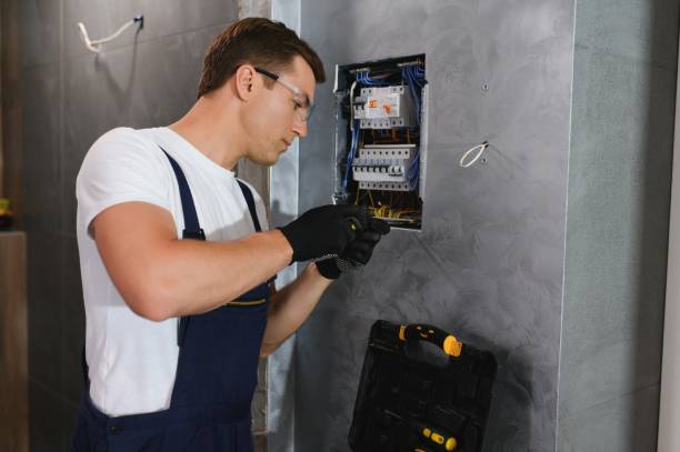 Best Home Electrical Repair  in Presquille, LA